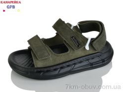 GFB-Канарейка S73-7 фото