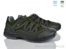 Paolla ПАТ5 зелений фото