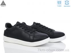 STILLI Group S10-4 шкіра фото