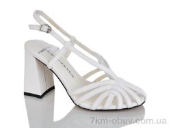 Teetspace-Trasta-Egga LL1977-26 фото