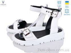 Viscala 23811 б.ш. фото