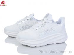 KIMBOO Y24212-4C фото