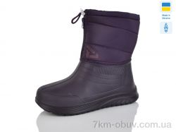 Inblue D391-1DF фіолетовий фото