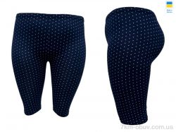 Sport style 0-2 горошок т.синій фото