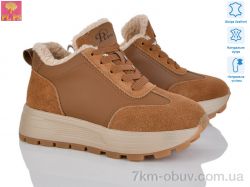 PLPS YJ682-2 фото