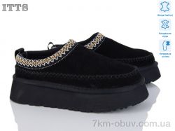 ITTS F253-1 фото