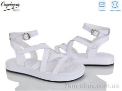 Dageni F201-2 фото