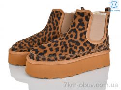 Мир 4224-5854-13 camel фото