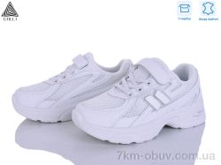 STILLI KIDS TQ30-1 шкіра фото