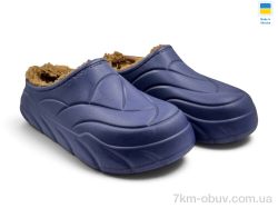 Rai shoes С128 волошка фото