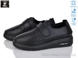 Steel Land 5311 фото