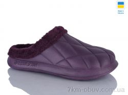 Inblue ГП38 баклажан фото