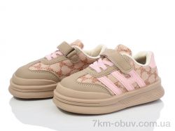 ASHIGULI 2022-6 фото