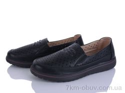 Lion-Lu 2024-60 фото