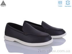 STILLI Group Q20-7 шкіра фото