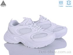 STILLI Group T50-1 шкіра фото