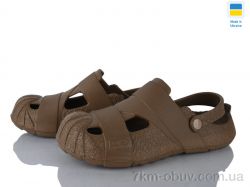 Golden Lion 528 коричневий фото