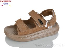 GFB-Канарейка S73-3 фото