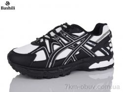 Башили H6501-21 фото