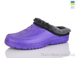 Inblue Ж64 бузок фото