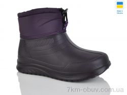 Inblue D390DF фіолетовий фото