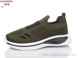 GFB-Канарейка X8032-4 фото