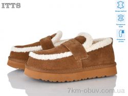 ITTS Q291-45 фото