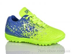 ASHIGULI C18-2 фото