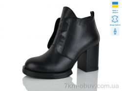 Carolina C2021-1 фото