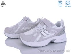 STILLI KIDS TQ60-1 шкіра фото