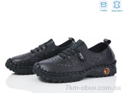 Захар-Gold 0T16-1 фото