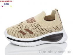 GFB-Канарейка Z6032-8 фото