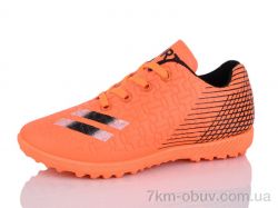 ASHIGULI C11-3 фото