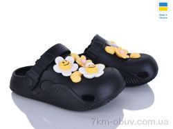 Golden Lion 331 чорний фото