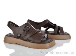 Loretta E731-5 фото