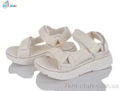 BBT L851-2-9 фото