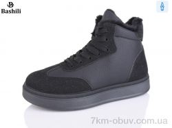Башили H9510-2 фото