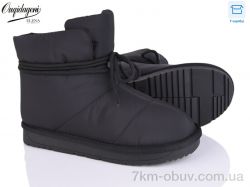 Dageni U583-1 фото