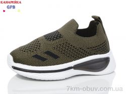 GFB-Канарейка Z6032-3 фото