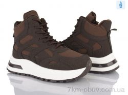 Baolikang G21-2 фото