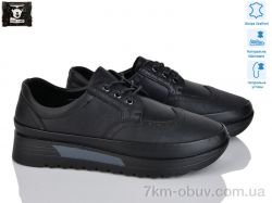 Steel Land 5301 фото