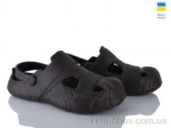 Golden Lion 528 т.коричневий фото