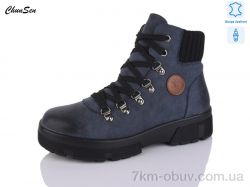 Chunsen M101R-11 фото