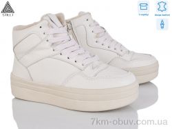 STILLI Group WA150-3 шкіра фото