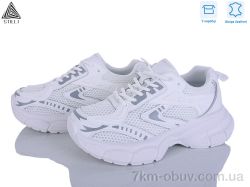 STILLI Group S300-4 шкіра фото