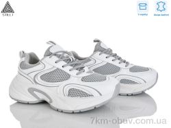 STILLI Group T10-7 шкіра фото