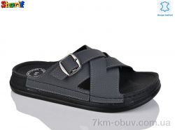 Sharif MS6004-7 фото