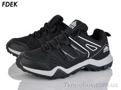 FDEK H9250-6 фото