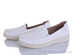 Lion-Lu 2024-28 фото