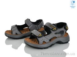 KIMBOO T64-2D фото